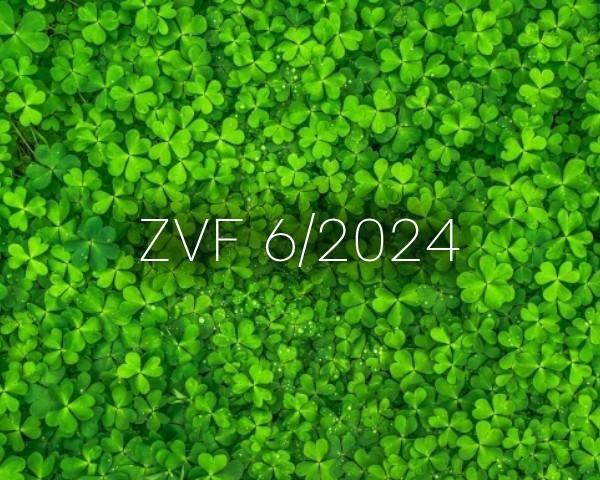 Zelený vzdelávací fond zverejňuje Príručku pre príjemcov podpory formou dotácie z výzvy 6/2024.